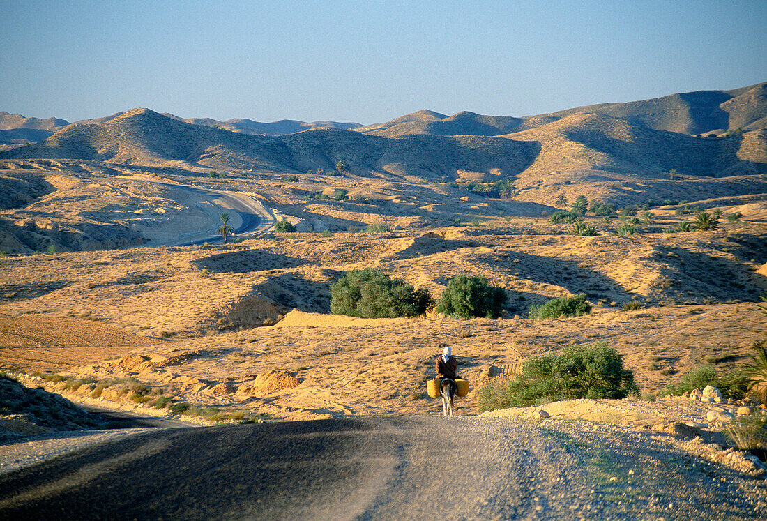 Villager on Donkey, Nr. Matmata, Dgabes And Matmata, Tunisia