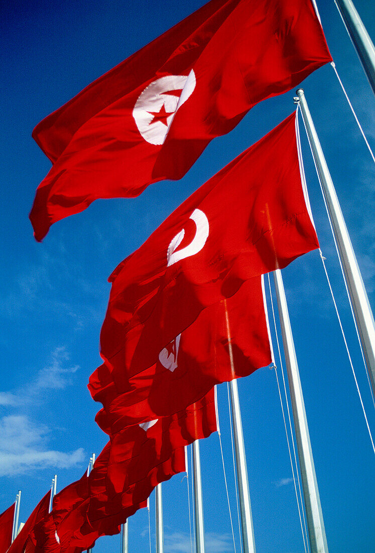 Palais Des Congres, Tunis, Tunisia