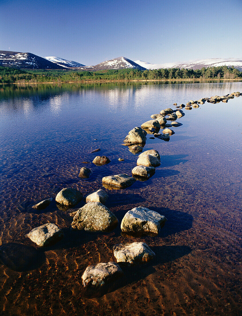 View, Loch Morlich (The Grampians), Grampian, UK, Scotland