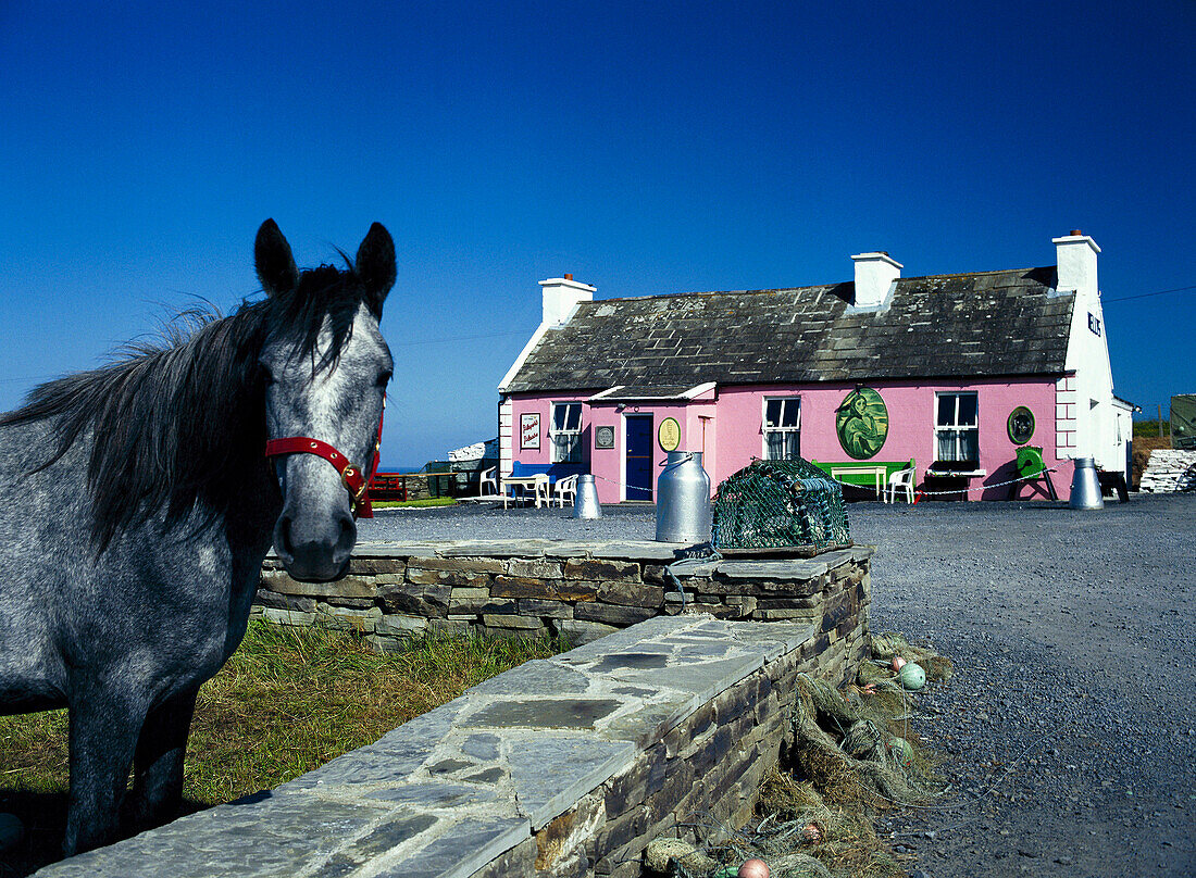 Country Restaurant, Nr. Doolin, County Clare, Ireland