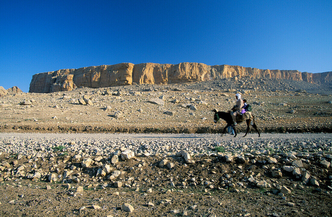 The Plateau, Jugertha's Plateau, The Sahel, Tunisia