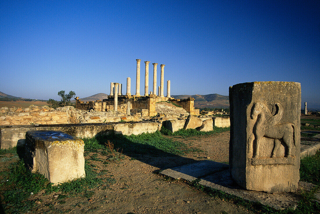 Roman Remains, Thuburbo Majus, Tunis, Tunisia