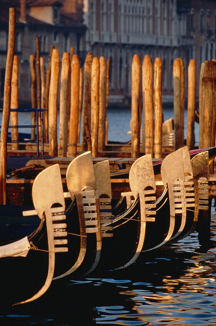 Gondolas on Molo San Marco, Venice, Veneto, Italy