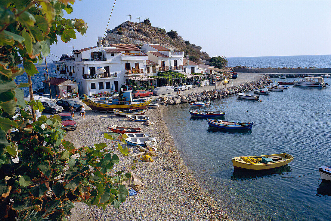 The Harbour, Kokkarion, Samos Island, Greek Islands