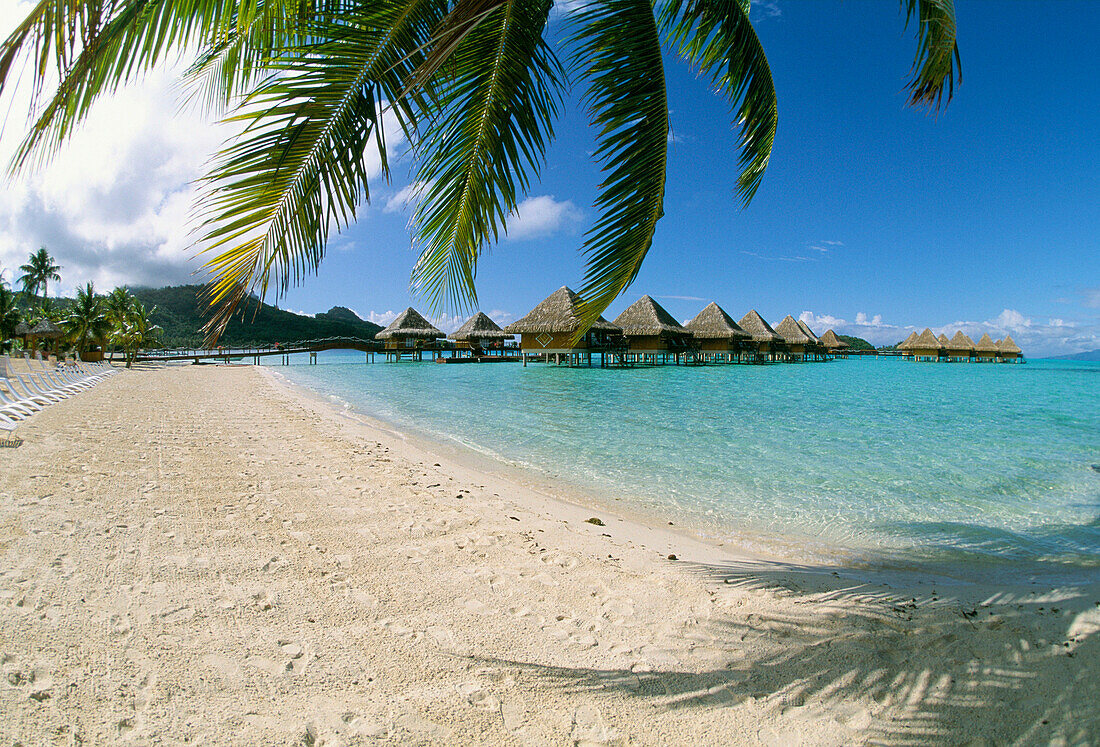 Beach Scene, Moana Beach Hotel, Bora Bora, Society Islands