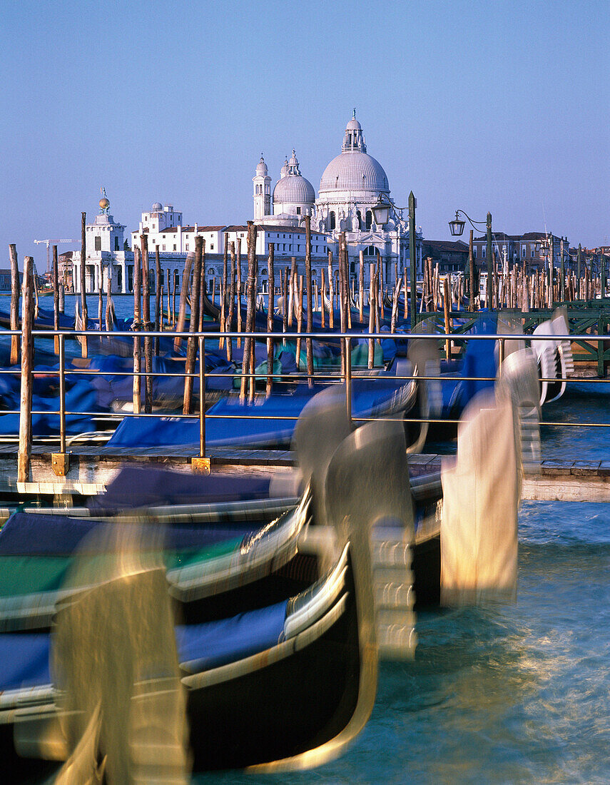 Gondolas &amp; Santa Maria D'salute, Venice, Veneto, Italy