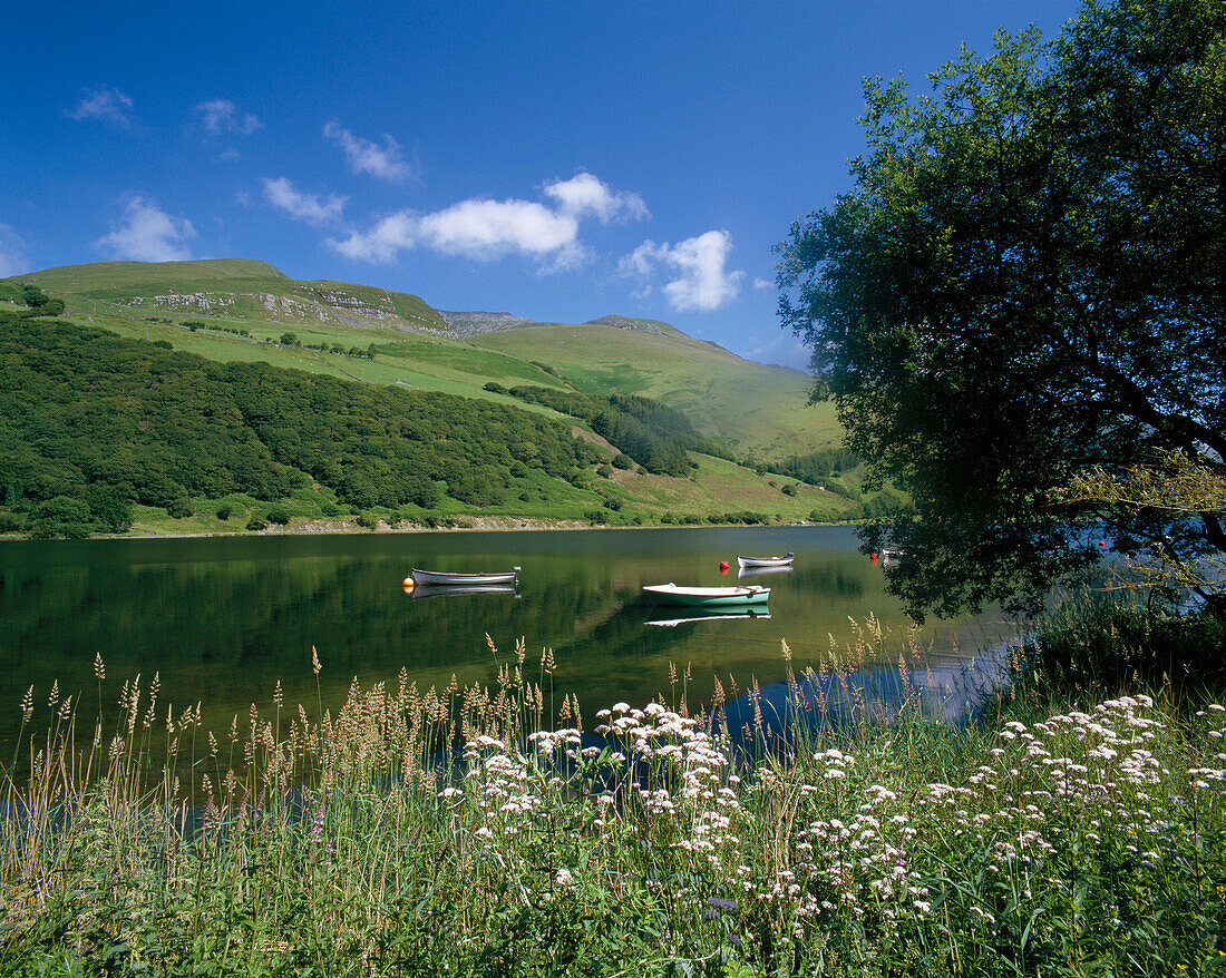 View across Lake, Tal Y Llyn, Snowdonia, UK, Wales