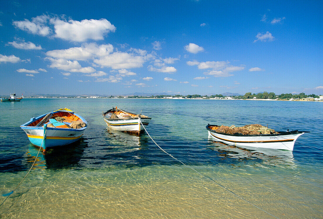 Fishing Boats, Hammamet, Cap Bon, Tunisia