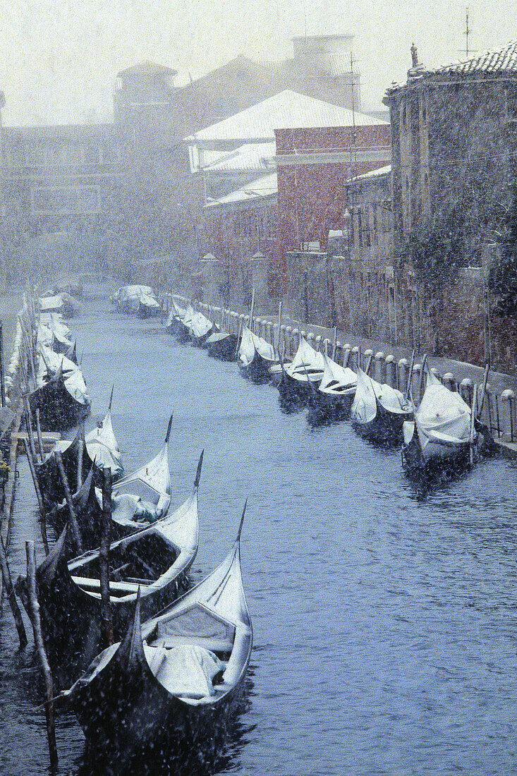 Snowstorm and gondolas. Venice. Italy