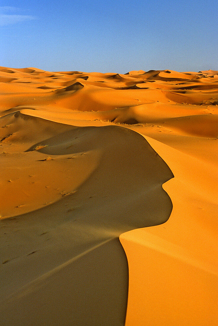 Morocco, near Merzouga, Erg Chebbi (Sahara sand dunes), blowing sand