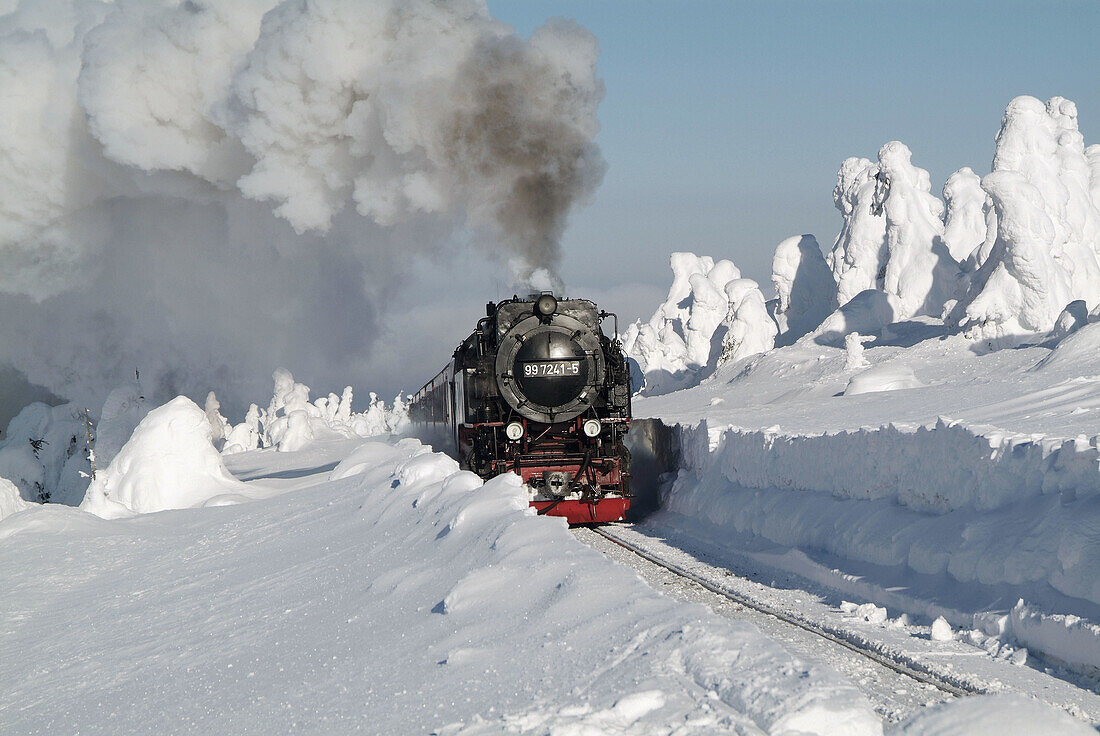 Germany, Saxony-Anhalt. Harz, Elend, Harzer Schmalspurbahn (Narrow gauge line).