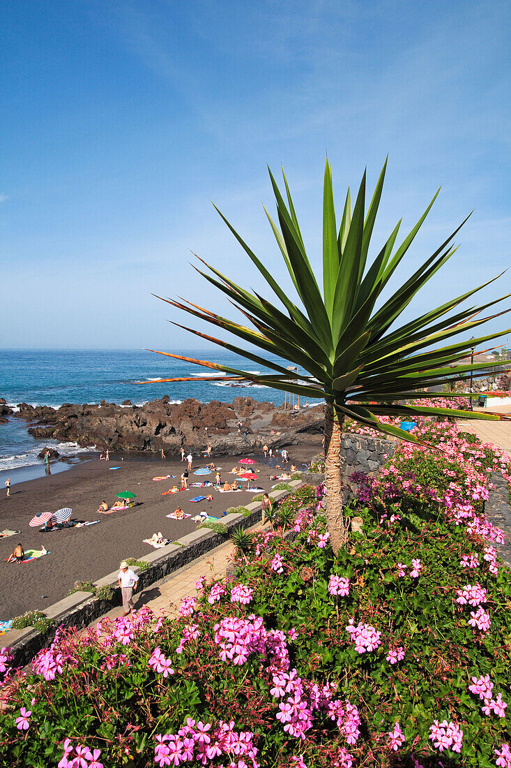Puerto de la Cruz, Tenerife. Canary Islands, Spain