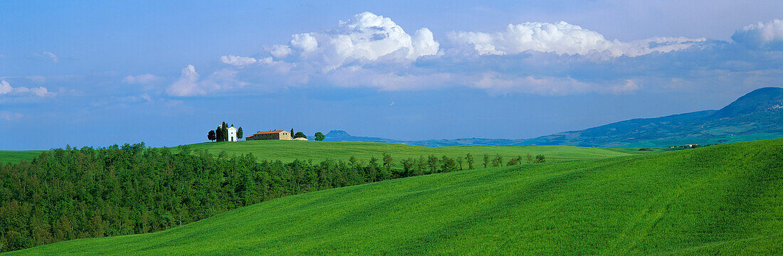 Landscape with Capella di Vitaleta, General countryside, Tuscany, Italy
