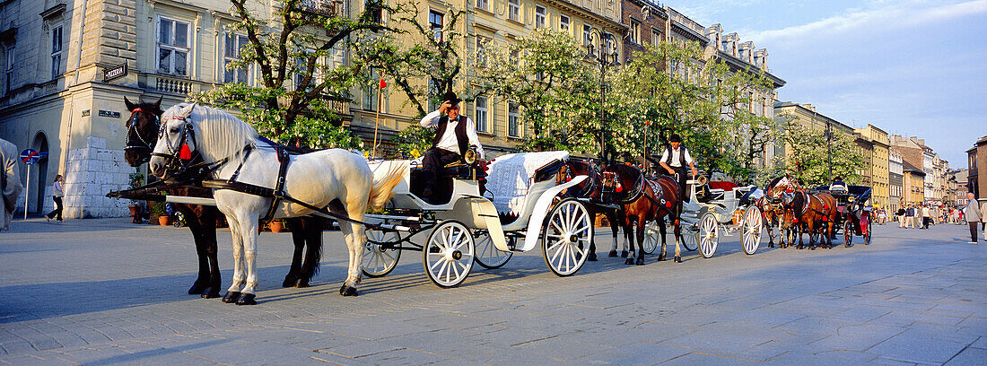 HORSE CARRIAGES IN MAIN SQUARE, RYNEK GLOWNY, KRAKOW, POLAND