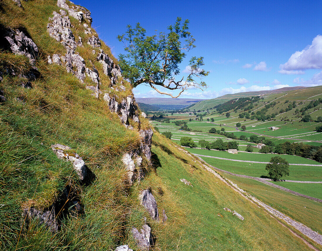 RURAL LANDSCAPE, WHARFEDALE, Yorkshire, UK, England