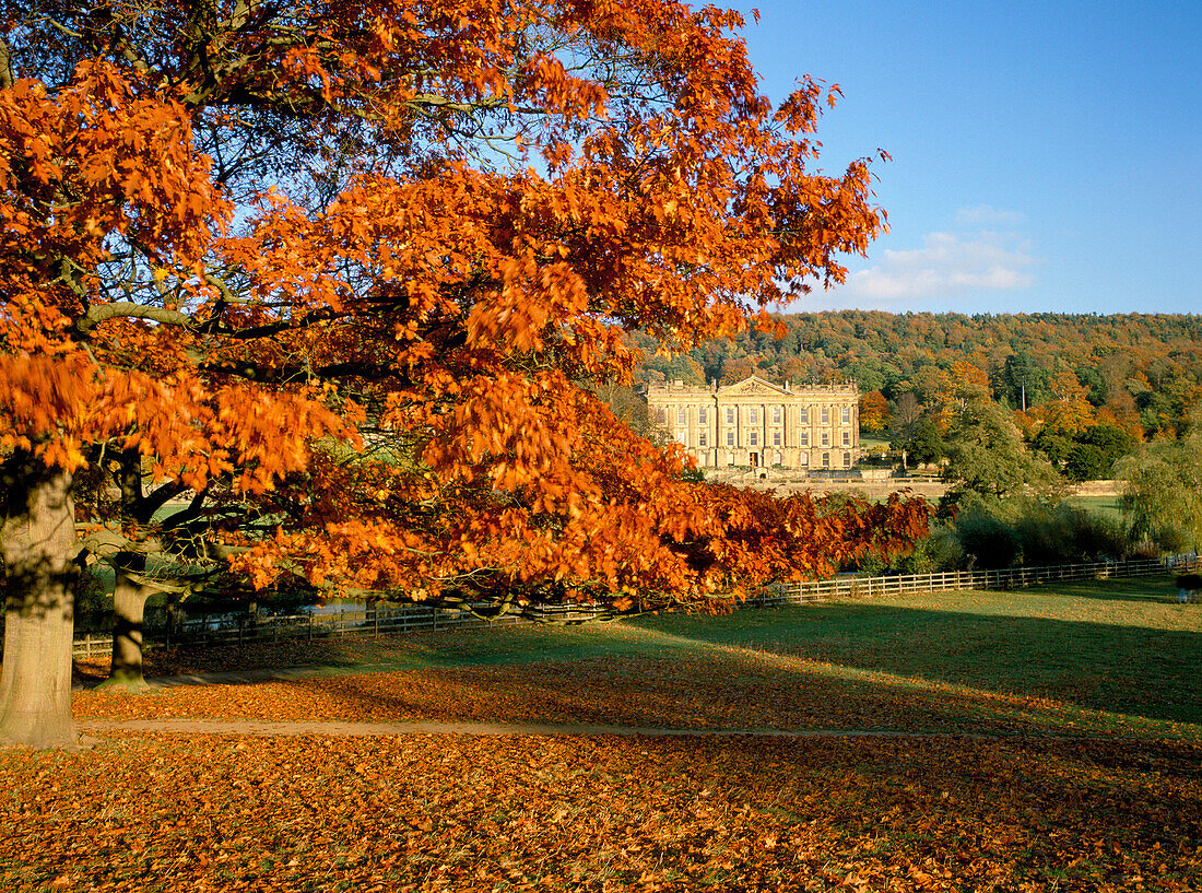 VIEW OF MANSION IN AUTUMN, CHATSWORTH HOUSE, DERBYSHIRE, UK, England