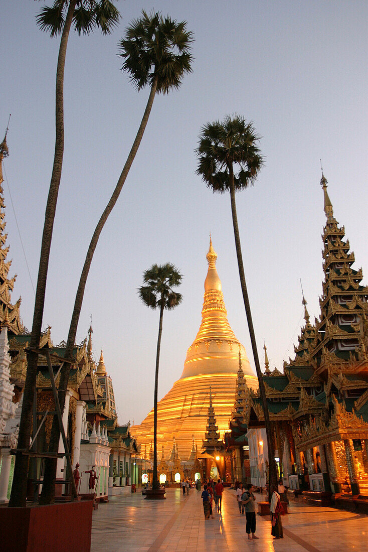 SHWEDAGON PAGODA AT DUSK, YANGON, BURMA