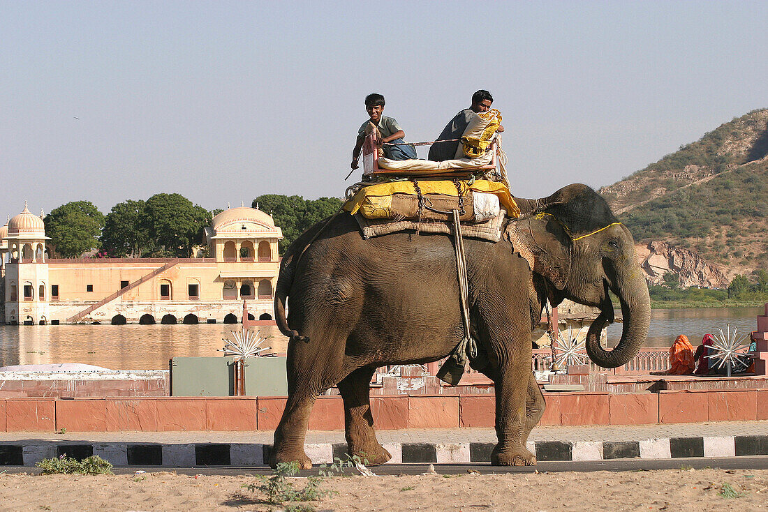 ELEPHANT RIDING AT JAL MAHAL WATER PALACE, JAIPUR, INDIA