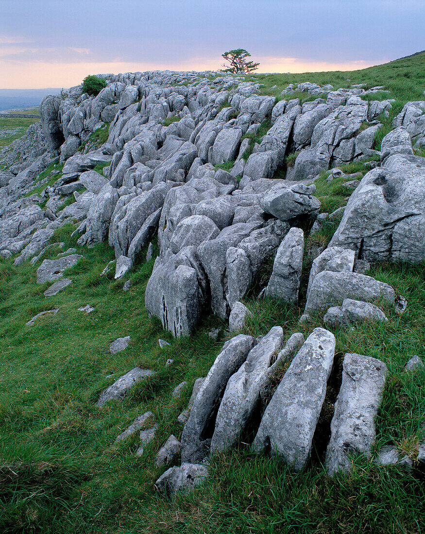 Limestone scenery, Yorkshire Dales National Park, Yorkshire, UK, England