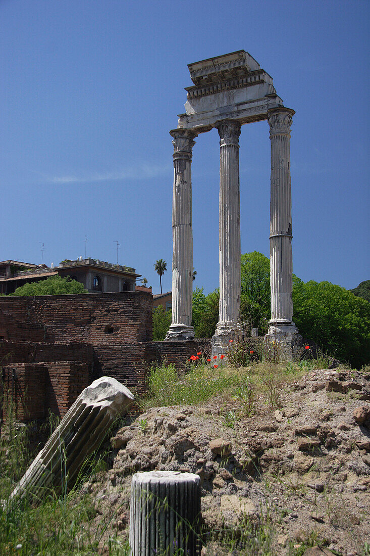 Temple of Castor & Pollux in the Forum, Rome, Lazio, Italy