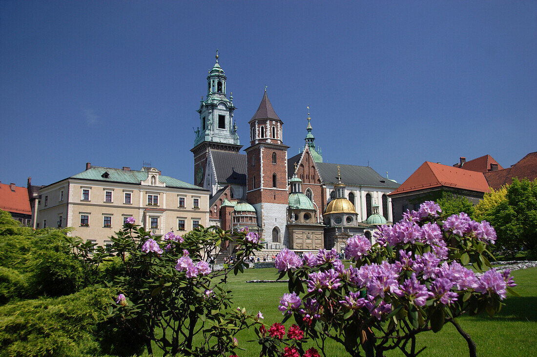 Wawel. Cathedral., Krakow, Poland