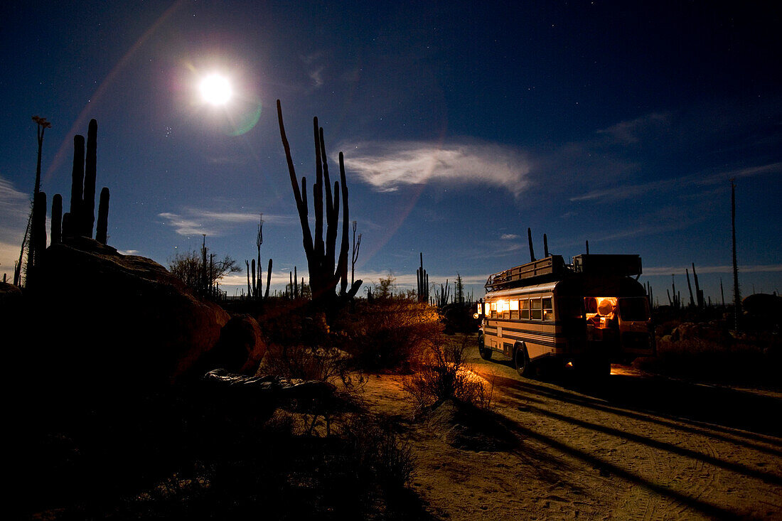 Ein Amerikanischer Schulbus steht nachts in einer Kakteenwüste geparkt, Vollmond, Sternenhimmel, Catavina, Baja California Nord, Mexiko