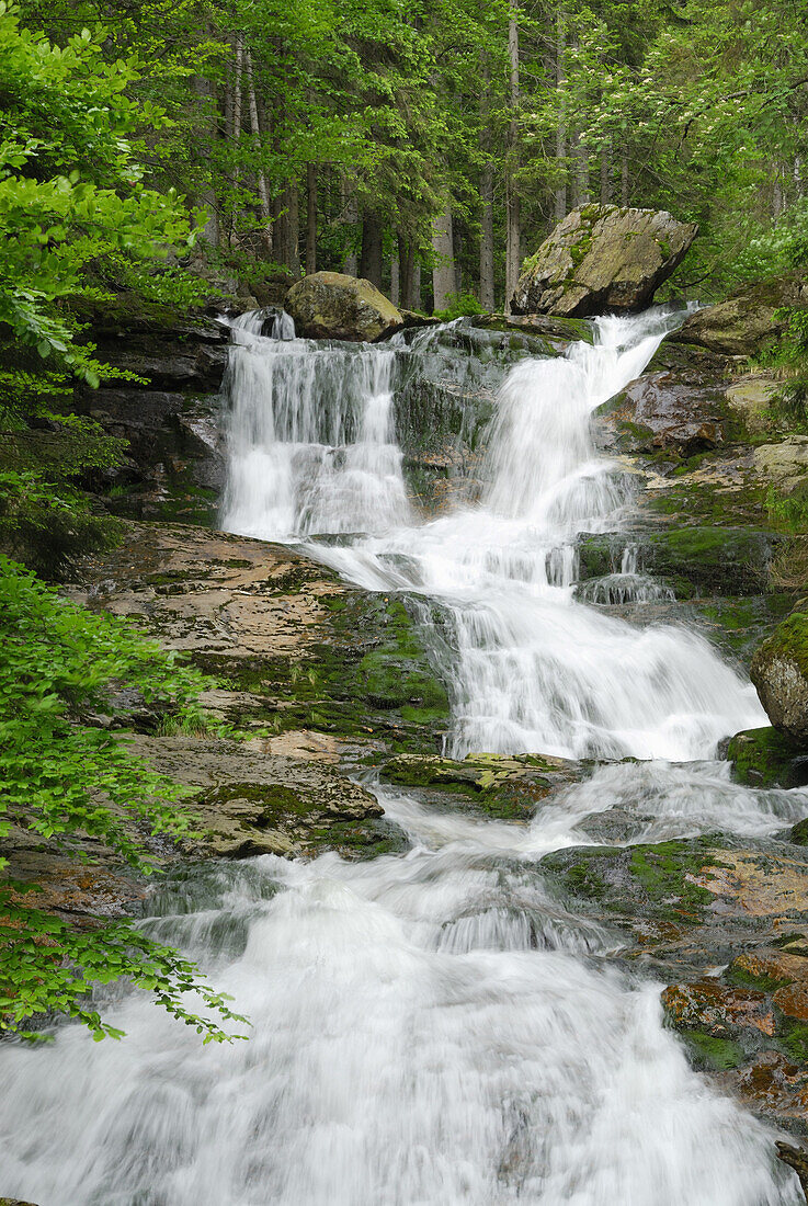 Riesloch waterfalls, Bodenmais, Bayerischer Wald, Niederbayern, Deutschland