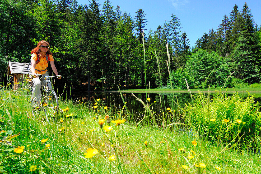 Radfahrerin fährt durch eine Blumenwiese, Nationalpark Bayerischer Wald, Niederbayern, Bayern, Deutschland