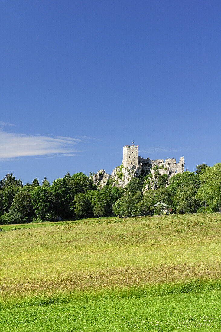 Burgruine Weißenstein, Regen, Bayerischer Wald, Niederbayern, Bayern, Deutschland