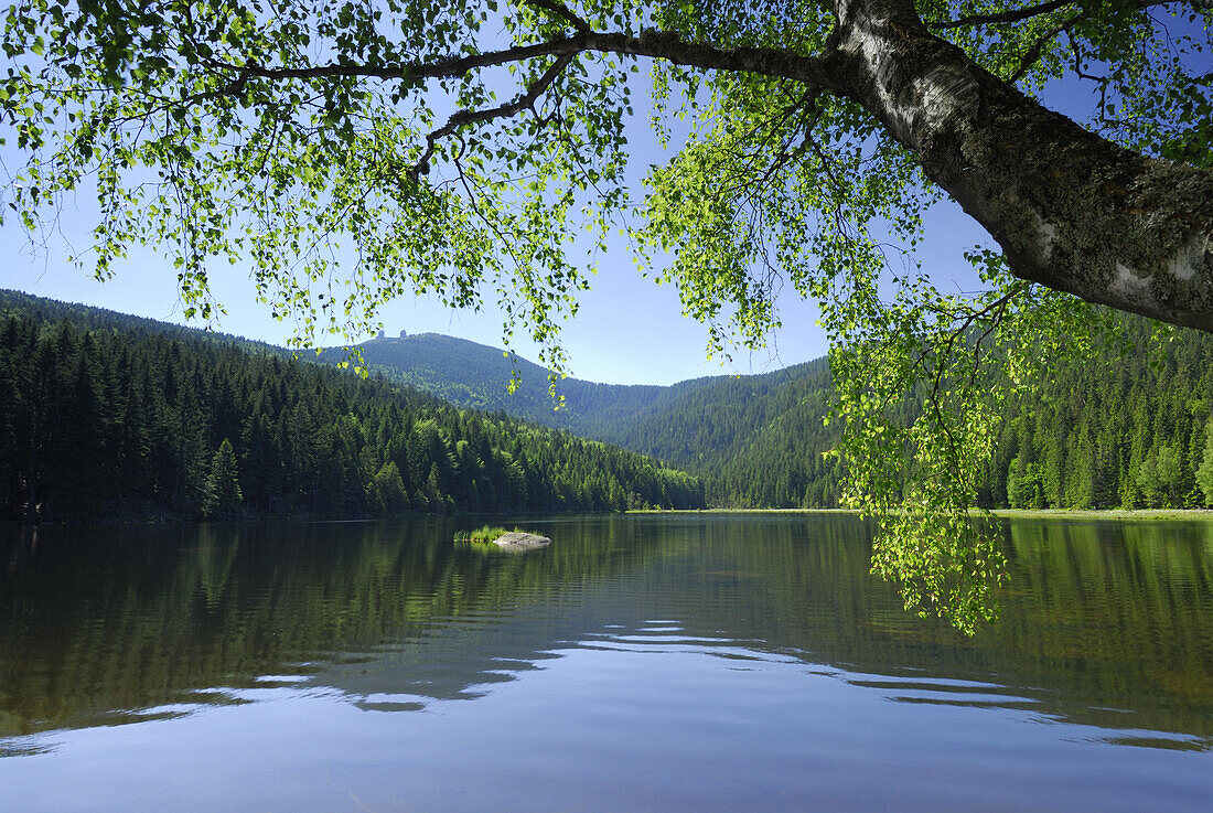 Kleiner Arbersee, Großer Arber im Hintergrund, Nationalpark Bayerischer Wald, Niederbayern, Bayern, Deutschland