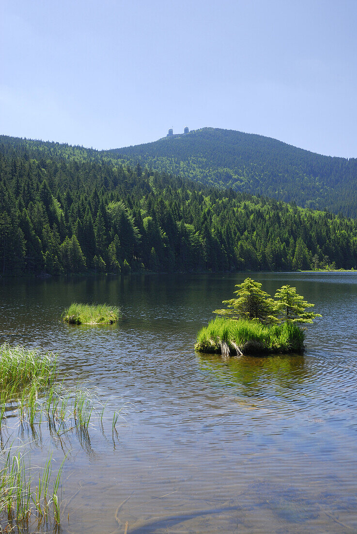 Small Arber Lake, Great Arber in background, Bavarian Forest National Park, Lower Bavaria, Bavaria, Germany