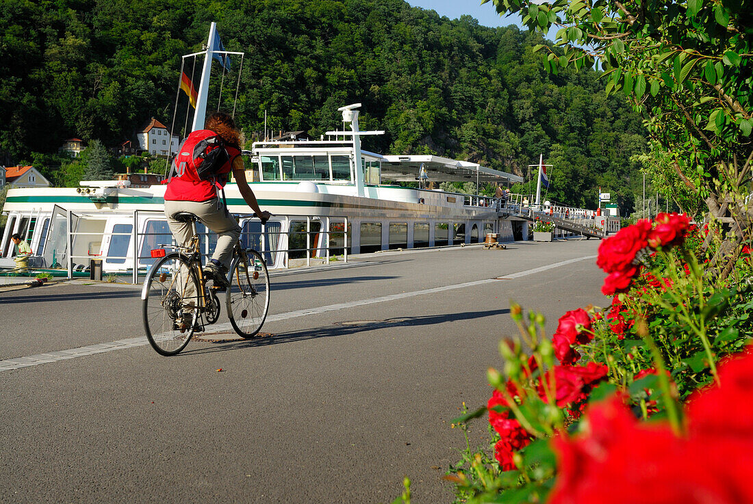Female cyclist riding along Danube river, Danube Cycle Route Passau to Vienna, Passau, Lower Bavaria, Bavaria, Germany