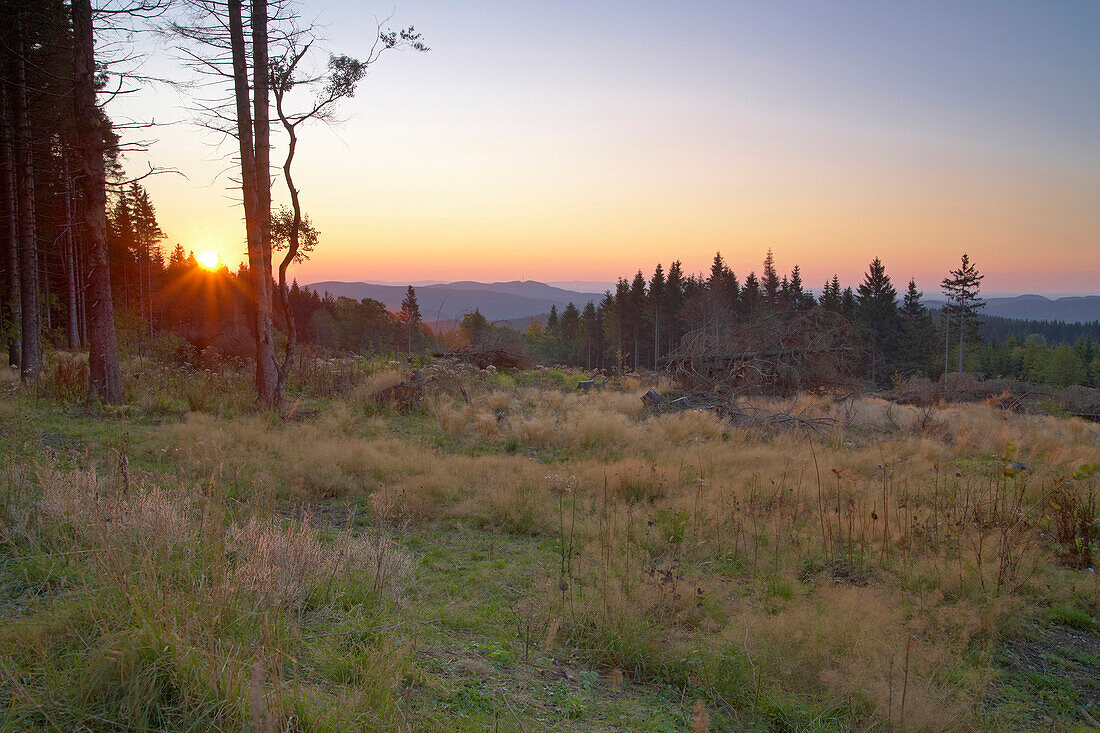 Außenaufnahme, Frühherbst, Morgenstimmung auf dem Kahlen Asten, Winterberg, Rothaargebirge, Rohaarsteig, Hochsauerland, Nordrhein-Westfalen, Deutschland, Europa