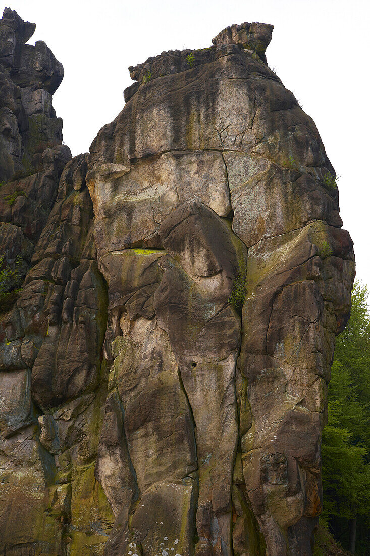 Externsteine in Holzhausen-Externsteine, Horn-Bad Meinberg, Lippe, Nordrhein-Westfalen, Deutschland, Europa