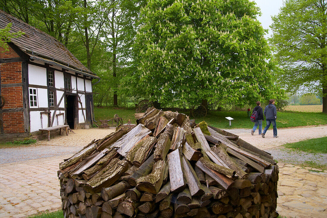 LWL Freilichtmuseum (open air museum) Detmold, Padaborner village, Lippe, Northrhine-Westphalia, Germany, Europe