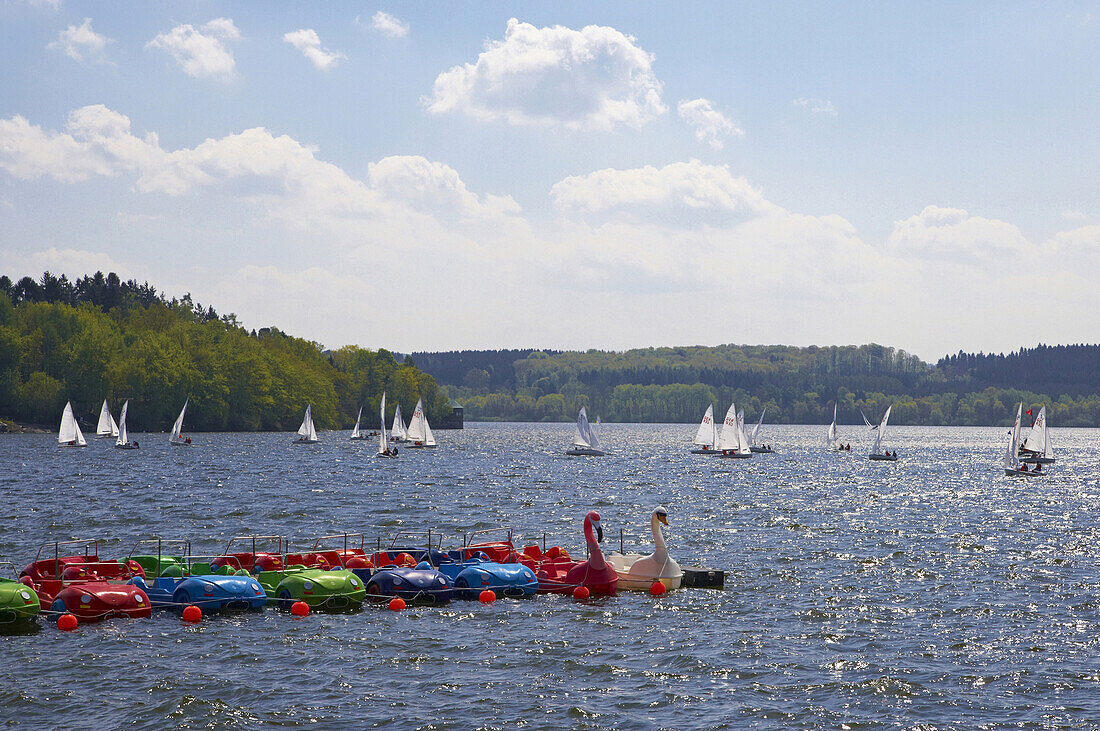 Sailing boats on the lake Moehnesee, Arnsberg Forest Nature Park, Sauerland, North Rhine-Westphalia, Germany