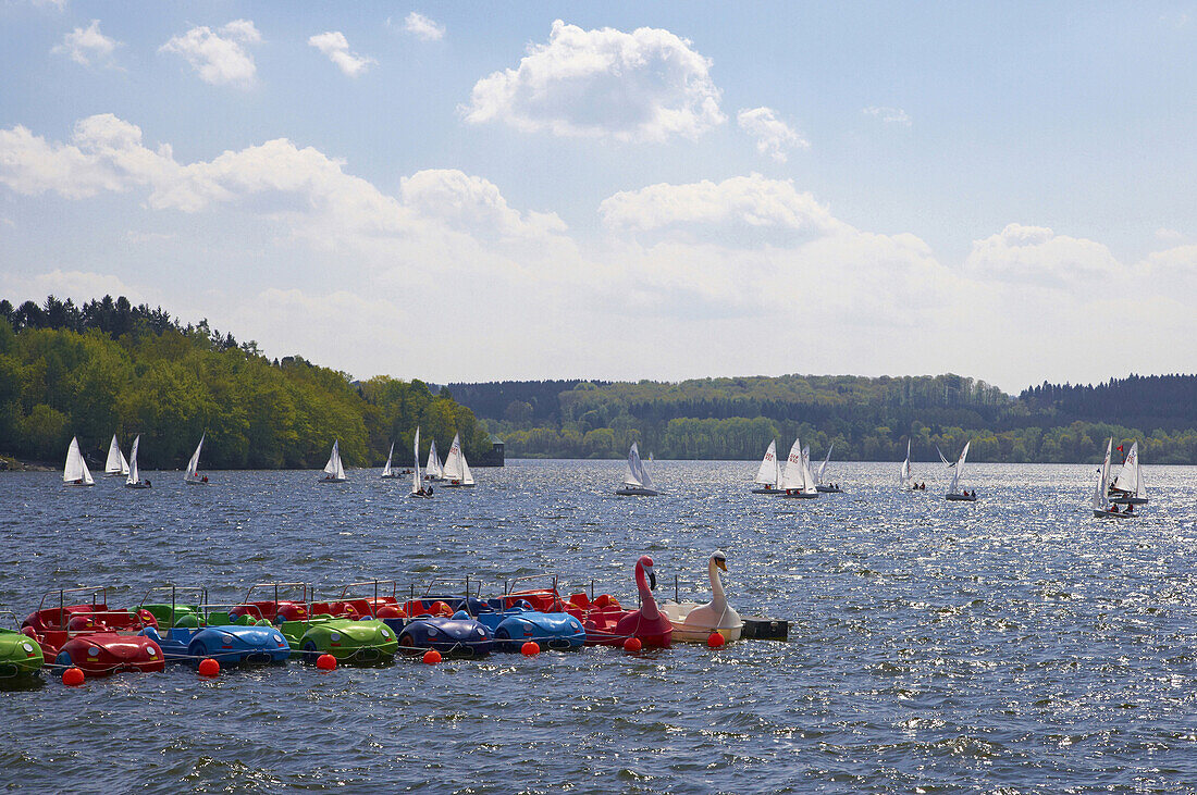 Segelboote auf dem Möhnesee, Naturpark Arnsbergeer Wald, Sauerland, Nordrhein-Westfalen, Deutschland