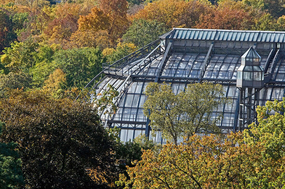 the Great Pavilion, Das Große Tropenhaus, Botanical Garden in Dahlem Berlin.