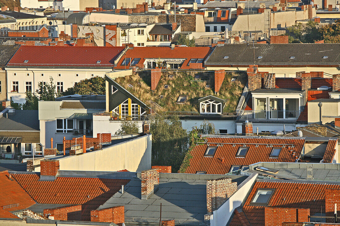 urban grass roofs, Berlin