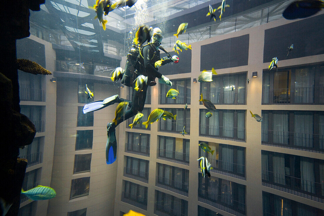 the 5 star Radisson SAS Hotel features the world's largest cylindrical aquarium. entrance to Aqua Dom, a diver cleans the tank, Berlin, Germany