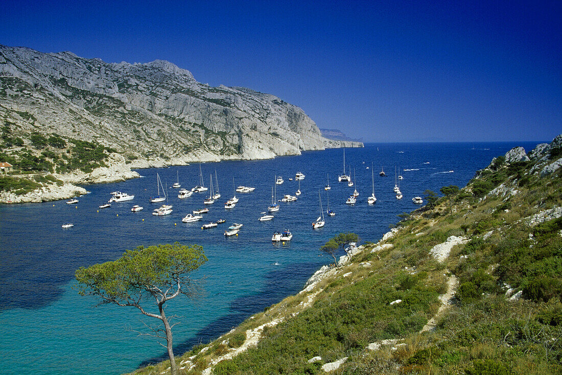 Boats anchoring in a bay under blue sky, Calanque de Sormiou, Cote d´Azur, Provence, France, Europe