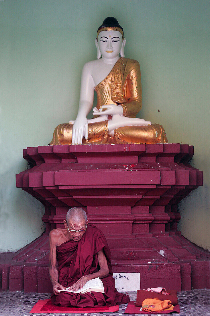 Monk at prayer in front of Buddha statue, General, people, Burma