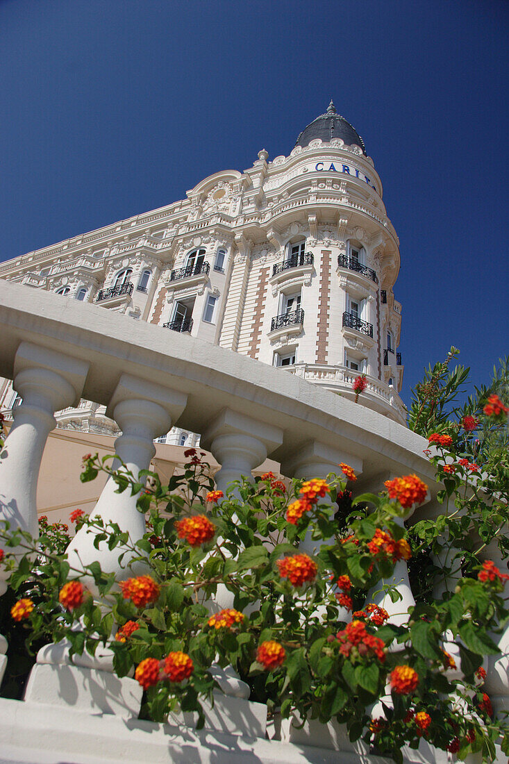 Carlton Hotel and flowers, Cannes, Cote d'Azur, France