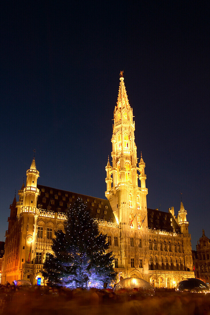 Town Hall and Christmas tree illuminated at night, Brussels, Belgium