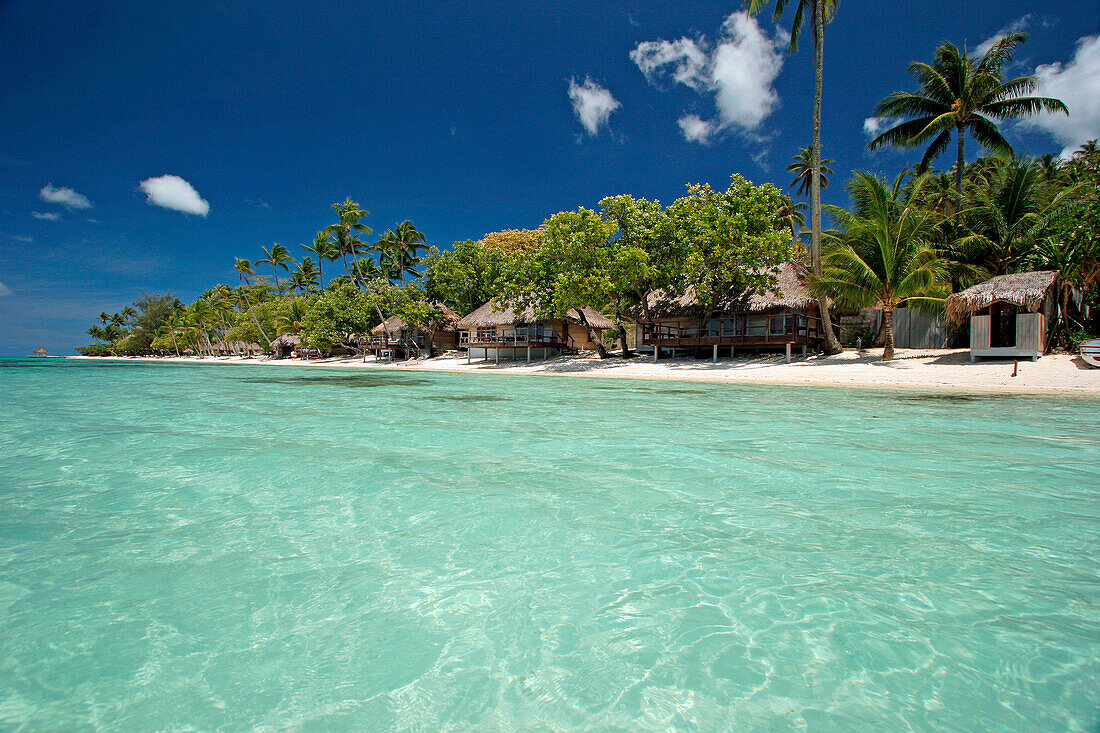 Tropical beach and sea, Bora Bora, Bora Bora, Society Islands