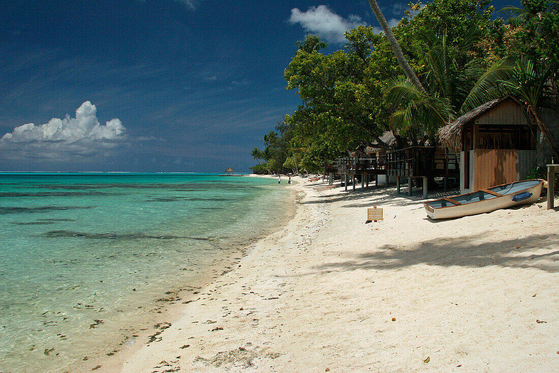 Tropical beach scene, Bora Bora, Bora Bora, Society Islands