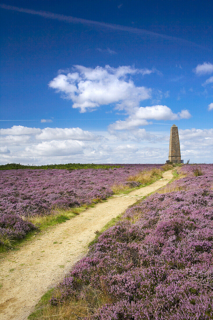 Captain Cook's Monument on Easby Moor in the North York Moors National Park, Great Ayton, Yorkshire, UK, England
