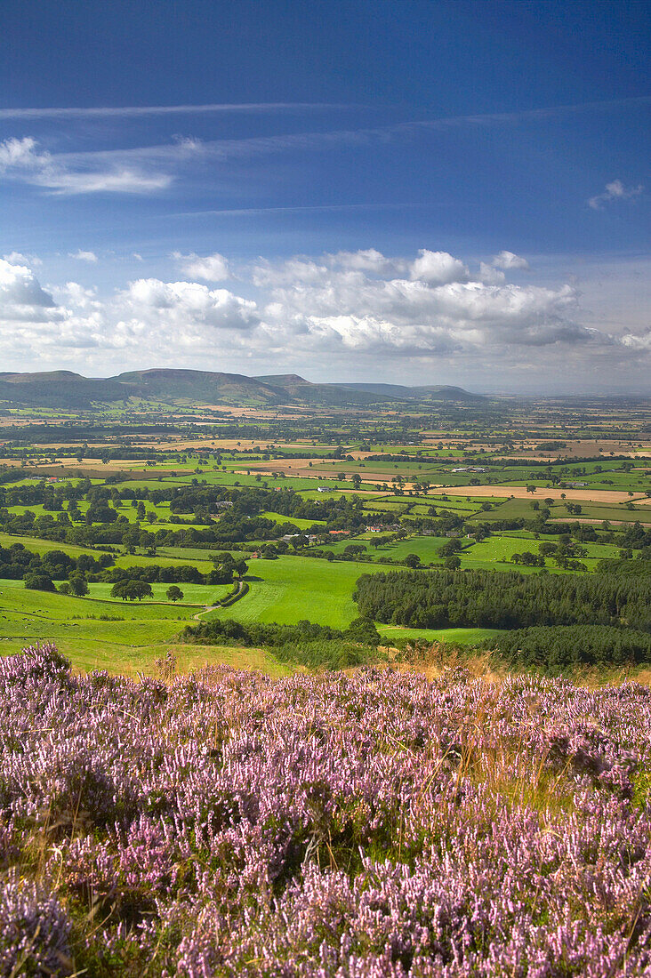 The Cleveland Hills from Easby Moor in the North York Moors National Park, Great Ayton, near, Yorkshire, UK, England