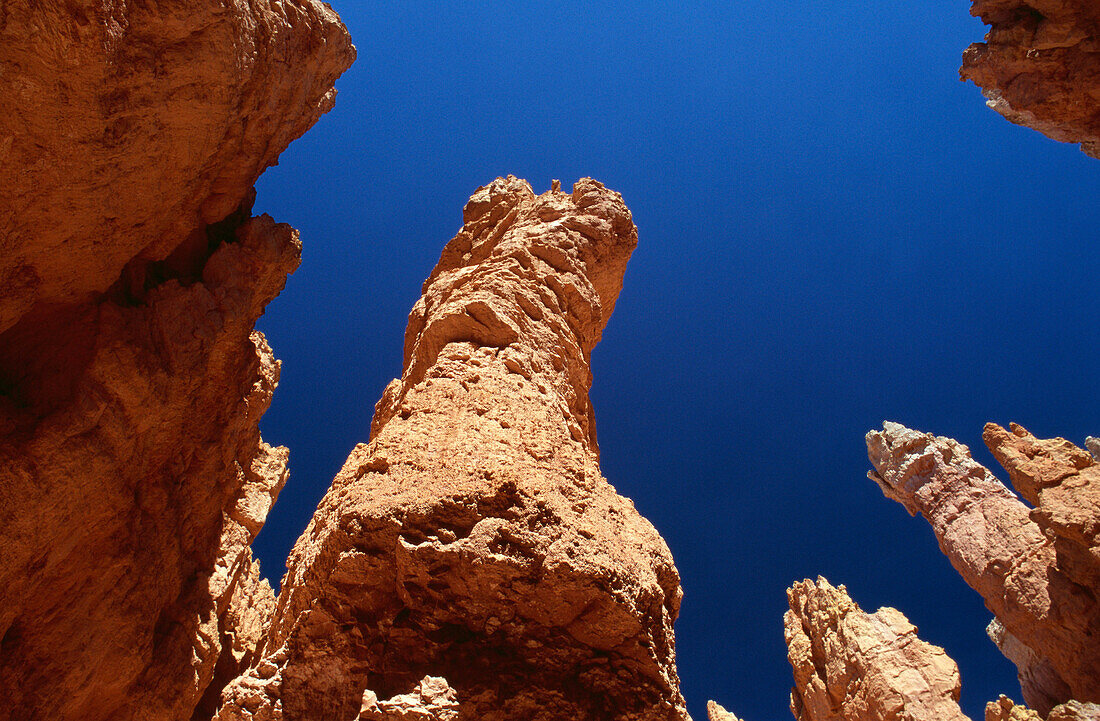 Close-up view of rock formations in the Amphitheatre, Bryce Canyon National Park, Utah, USA