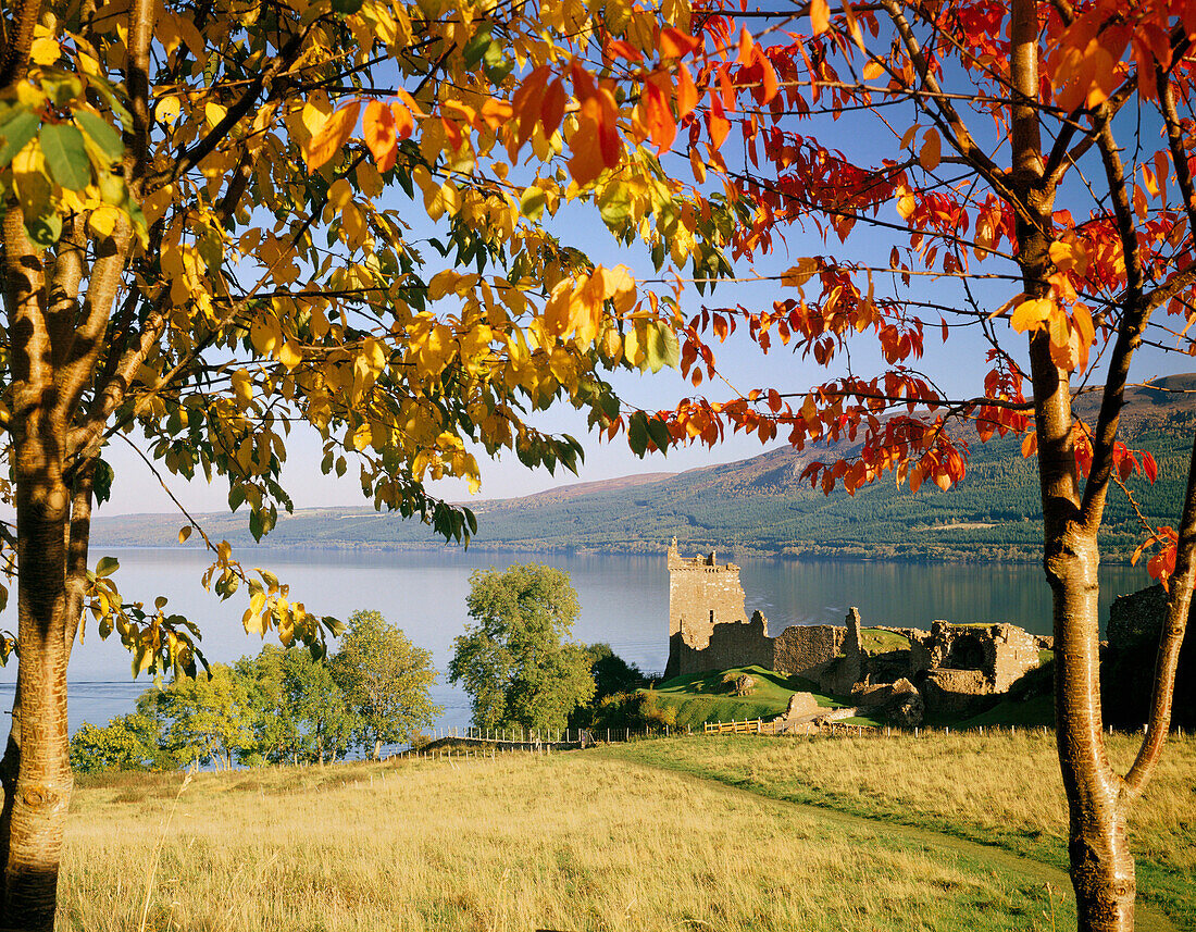 Loch Ness and Castle Urquhart framed by trees in autumn, Drumnadrochit, near, Highland, UK, Scotland